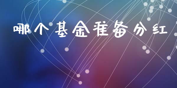 哪个基金准备分红_https://www.apanben.com_国际财经_第1张