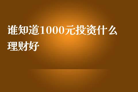 谁知道1000元投资什么理财好_https://www.apanben.com_国际期货_第1张
