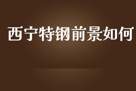 西宁特钢前景如何_https://www.apanben.com_财经资讯_第1张