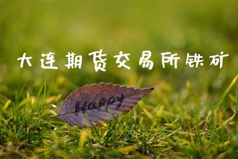 大连期货交易所铁矿_https://www.apanben.com_财经资讯_第1张