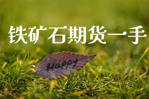 铁矿石期货一手_https://www.apanben.com_在线喊单_第1张