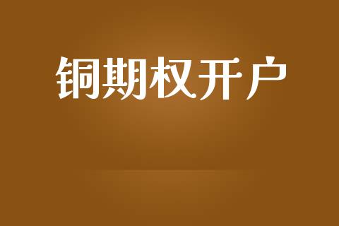 铜期权开户_https://www.apanben.com_财经资讯_第1张