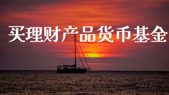 买理财产品货币基金_https://www.apanben.com_财经资讯_第1张