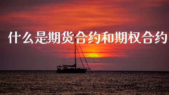 什么是期货合约和期权合约_https://www.apanben.com_股市指导_第1张