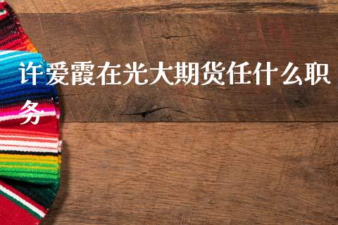 许爱霞在光大期货任什么职务_https://www.apanben.com_股市分析_第1张