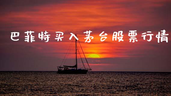 巴菲特买入茅台股票行情_https://www.apanben.com_股市指导_第1张