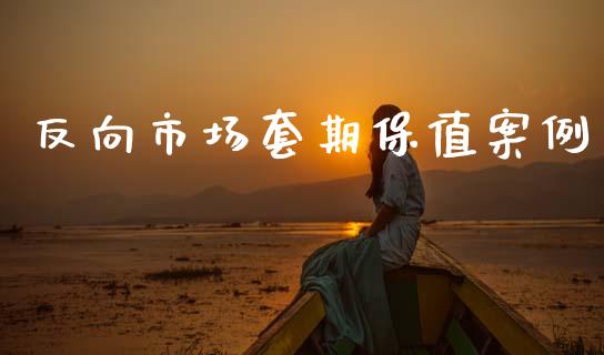 反向市场套期保值案例_https://www.apanben.com_期货学院_第1张