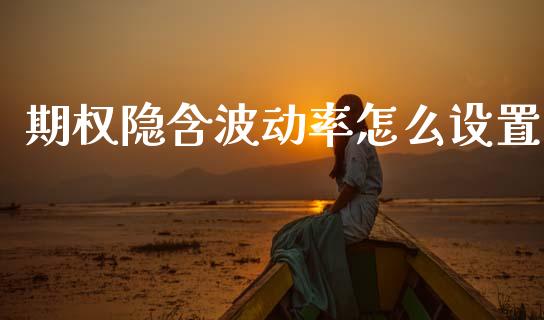 期权隐含波动率怎么设置_https://www.apanben.com_财经资讯_第1张