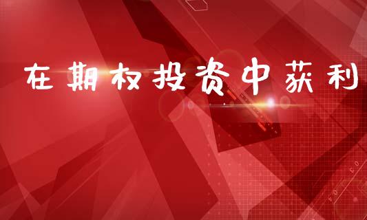 在期权投资中获利_https://www.apanben.com_国际期货_第1张