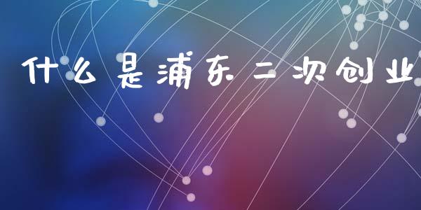 什么是浦东二次创业_https://www.apanben.com_期货学院_第1张