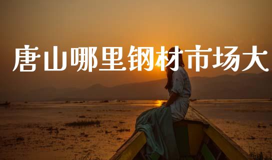 唐山哪里钢材市场大_https://www.apanben.com_股市指导_第1张
