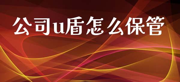 公司u盾怎么保管_https://www.apanben.com_股市指导_第1张