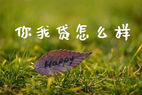 你我贷怎么样_https://www.apanben.com_股市指导_第1张