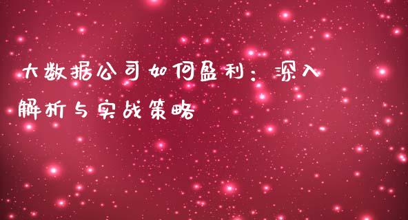 大数据公司如何盈利：深入解析与实战策略_https://www.apanben.com_国际期货_第1张