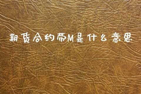 期货合约带M是什么意思_https://www.apanben.com_国际财经_第1张