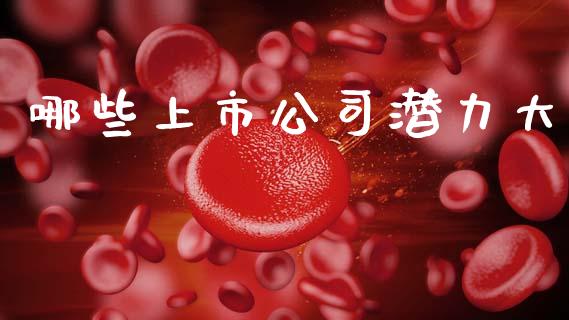 哪些上市公司潜力大_https://www.apanben.com_在线喊单_第1张