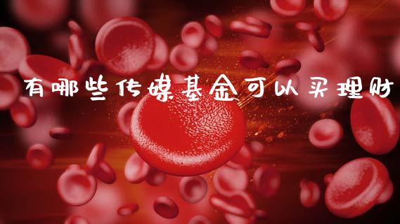 有哪些传媒基金可以买理财_https://www.apanben.com_财经资讯_第1张