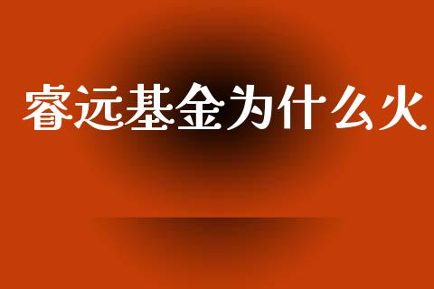 睿远基金为什么火_https://www.apanben.com_股票怎么玩_第1张