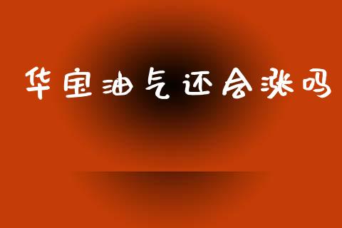 华宝油气还会涨吗_https://www.apanben.com_在线喊单_第1张