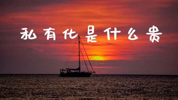 私有化是什么贵_https://www.apanben.com_在线喊单_第1张