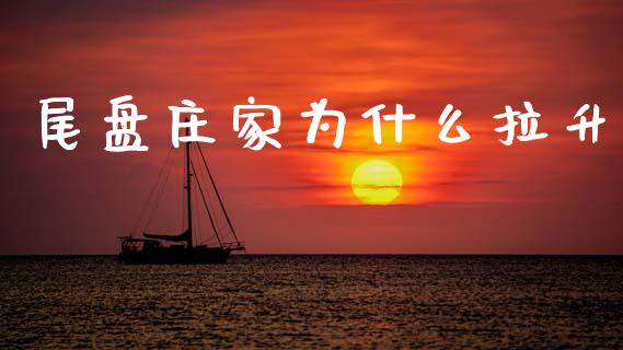 尾盘庄家为什么拉升_https://www.apanben.com_国际财经_第1张
