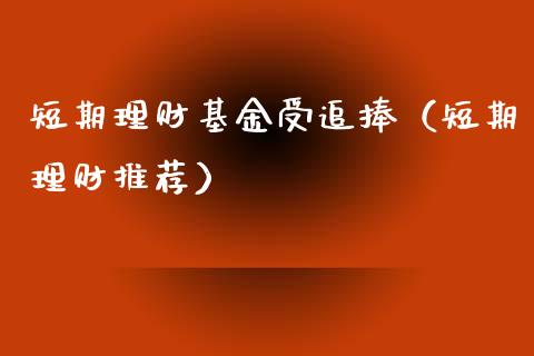 短期理财基金受追捧（短期理财推荐）_https://www.apanben.com_财经资讯_第1张