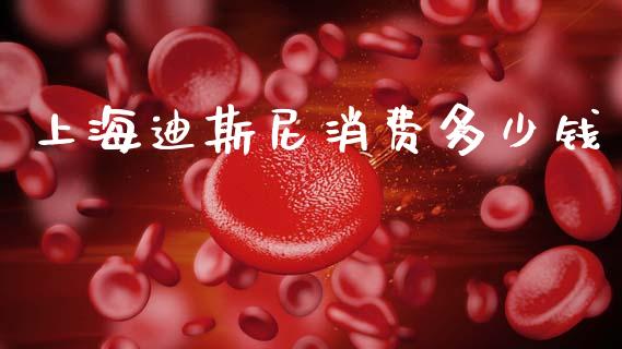 上海迪斯尼消费多少钱_https://www.apanben.com_国际期货_第1张