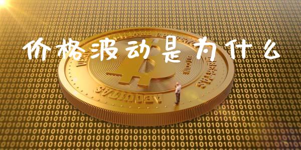 价格波动是为什么_https://www.apanben.com_国际期货_第1张