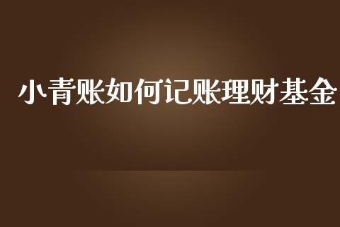小青账如何记账理财基金_https://www.apanben.com_国际财经_第1张