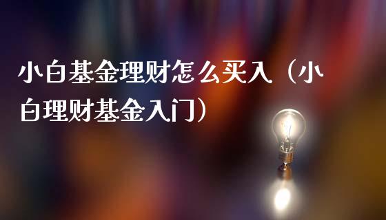 小白基金理财怎么买入（小白理财基金入门）_https://www.apanben.com_国际财经_第1张