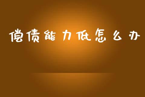 偿债能力低怎么办_https://www.apanben.com_国际期货_第1张
