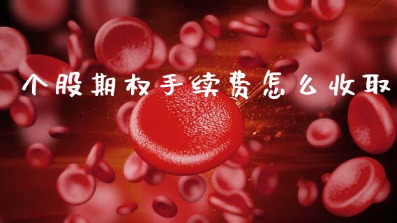 个股期权手续费怎么收取_https://www.apanben.com_国际期货_第1张