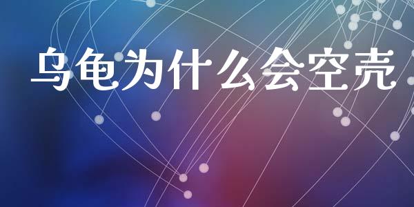 乌龟为什么会空壳_https://www.apanben.com_国际财经_第1张