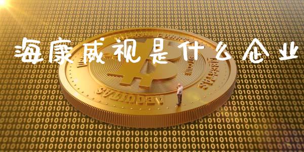 海康威视是什么企业_https://www.apanben.com_财经资讯_第1张