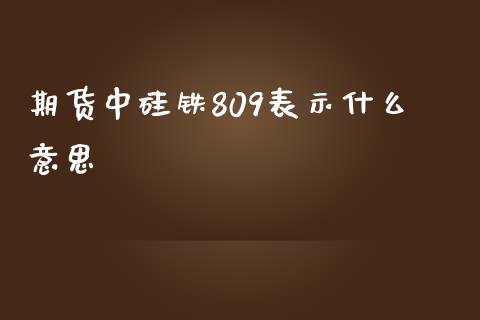 期货中硅铁809表示什么意思_https://www.apanben.com_期货学院_第1张