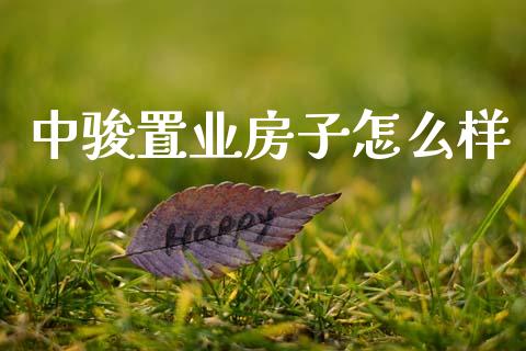 中骏置业房子怎么样_https://www.apanben.com_股市分析_第1张
