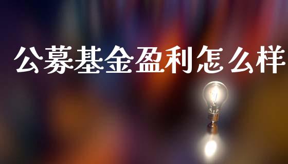 公募基金盈利怎么样_https://www.apanben.com_股市分析_第1张