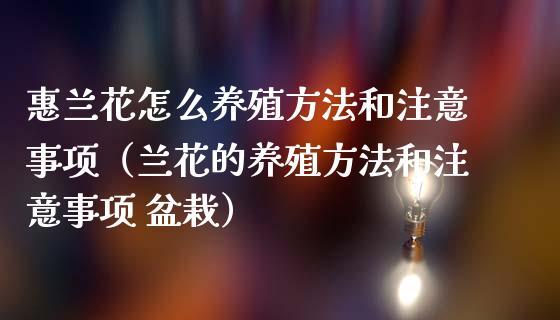 惠兰花怎么养殖方法和注意事项（兰花的养殖方法和注意事项 盆栽）_https://www.apanben.com_期货学院_第1张