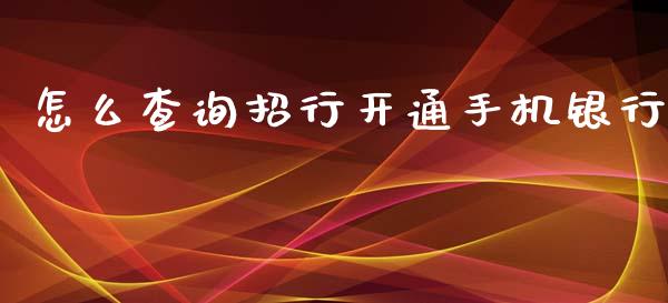 怎么查询招行开通手机银行_https://www.apanben.com_股市分析_第1张