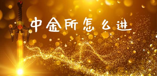 中金所怎么进_https://www.apanben.com_国际财经_第1张