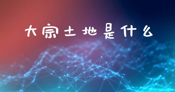 大宗土地是什么_https://www.apanben.com_股票怎么玩_第1张