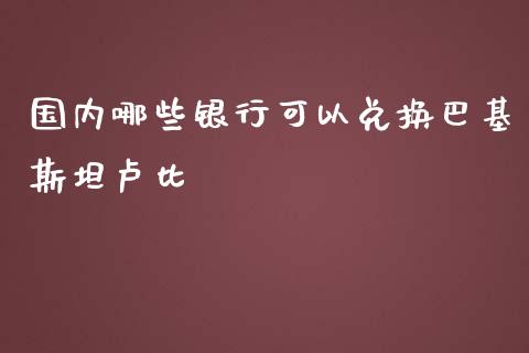 国内哪些银行可以兑换巴基斯坦卢比_https://www.apanben.com_在线喊单_第1张