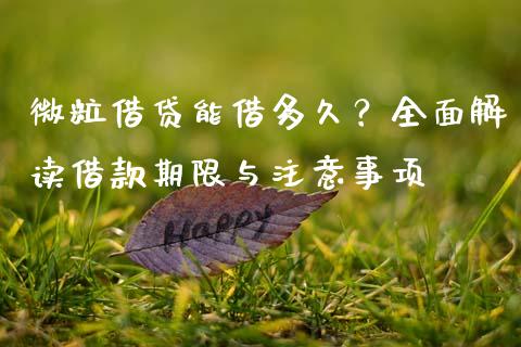 微粒借贷能借多久？全面解读借款期限与注意事项_https://www.apanben.com_国际财经_第1张
