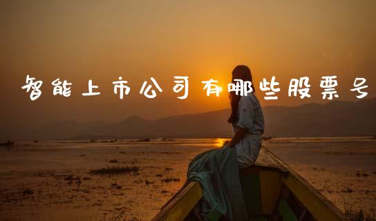 智能上市公司有哪些股票号_https://www.apanben.com_股市分析_第1张