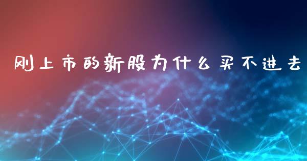 刚上市的新股为什么买不进去_https://www.apanben.com_期货学院_第1张