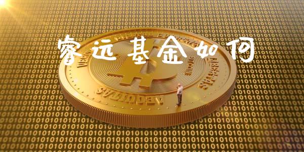 睿远基金如何_https://www.apanben.com_股票怎么玩_第1张