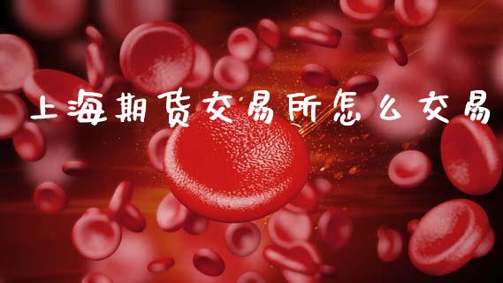 上海期货交易所怎么交易_https://www.apanben.com_股市指导_第1张