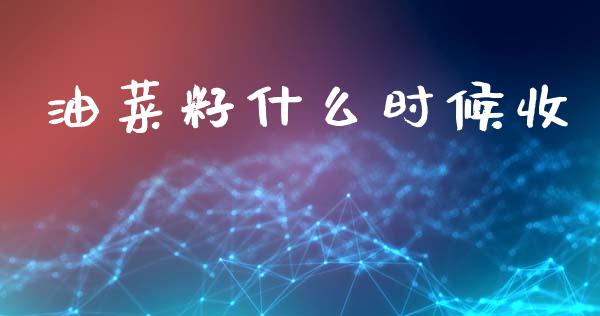 油菜籽什么时候收_https://www.apanben.com_期货学院_第1张