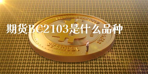 期货BC2103是什么品种_https://www.apanben.com_国际财经_第1张