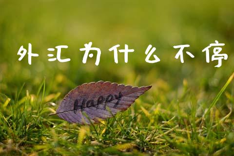 外汇为什么不停_https://www.apanben.com_国际财经_第1张